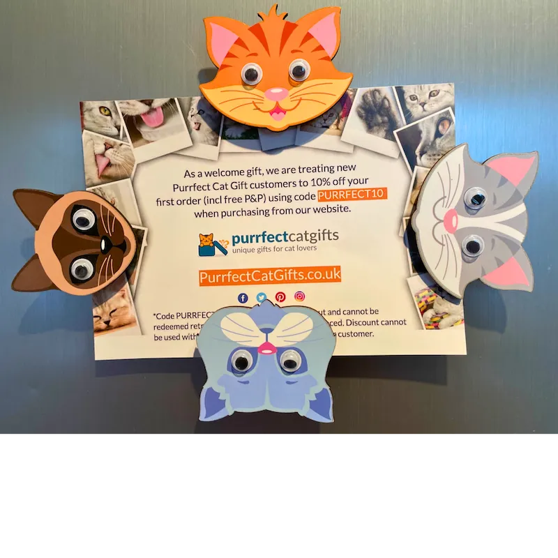 4 Piece Fun Colourful Cats Googly Eyes Wooden Magnetic Pegs Set
