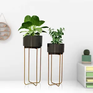 Ambience Planters with Stand - (Set of 2)