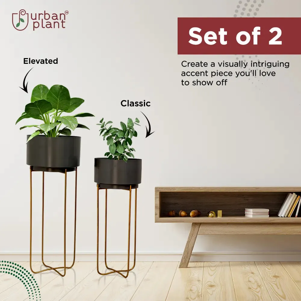 Ambience Planters with Stand - (Set of 2)