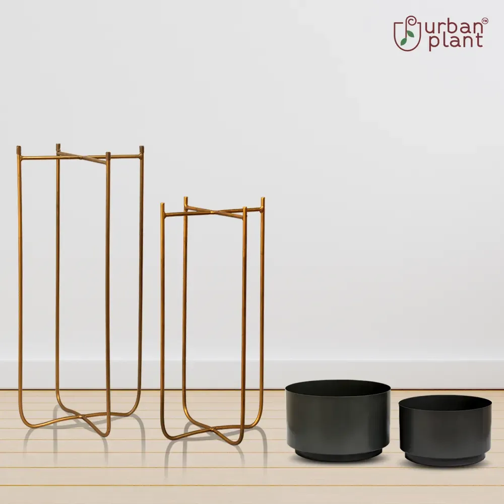 Ambience Planters with Stand - (Set of 2)