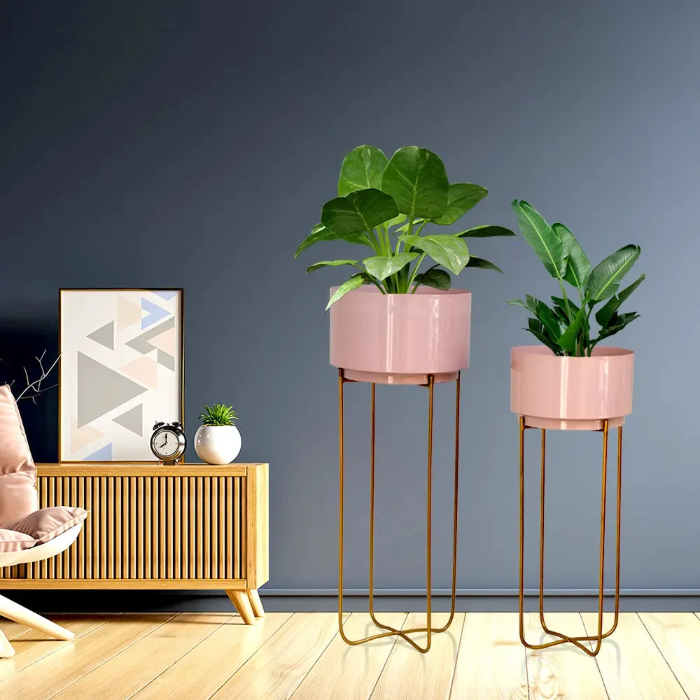 Ambience Planters with Stand - (Set of 2)