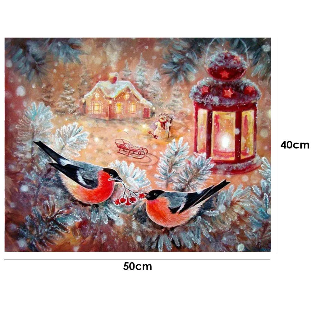 Bird-Paint By Numbers 50*40cm