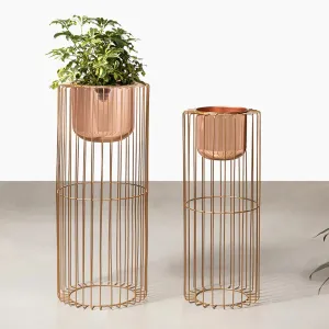 Botanic Couture Planters Set of 2 - Rose Gold