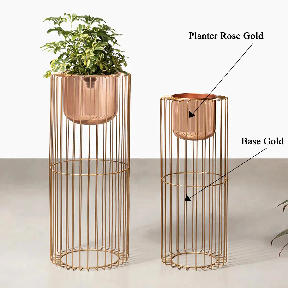 Botanic Couture Planters Set of 2 - Rose Gold