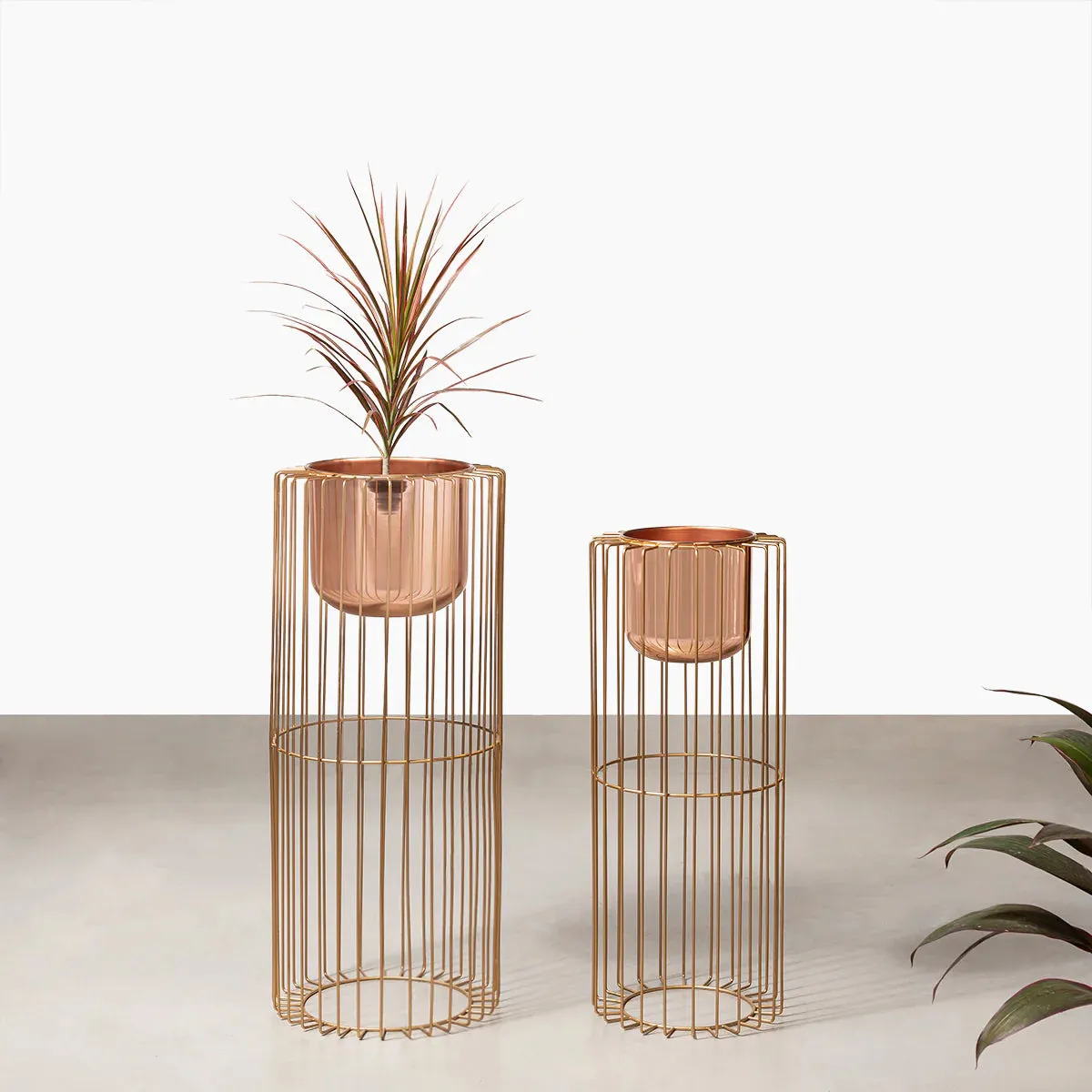 Botanic Couture Planters Set of 2 - Rose Gold
