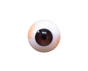 Brown Eyeball Keychain