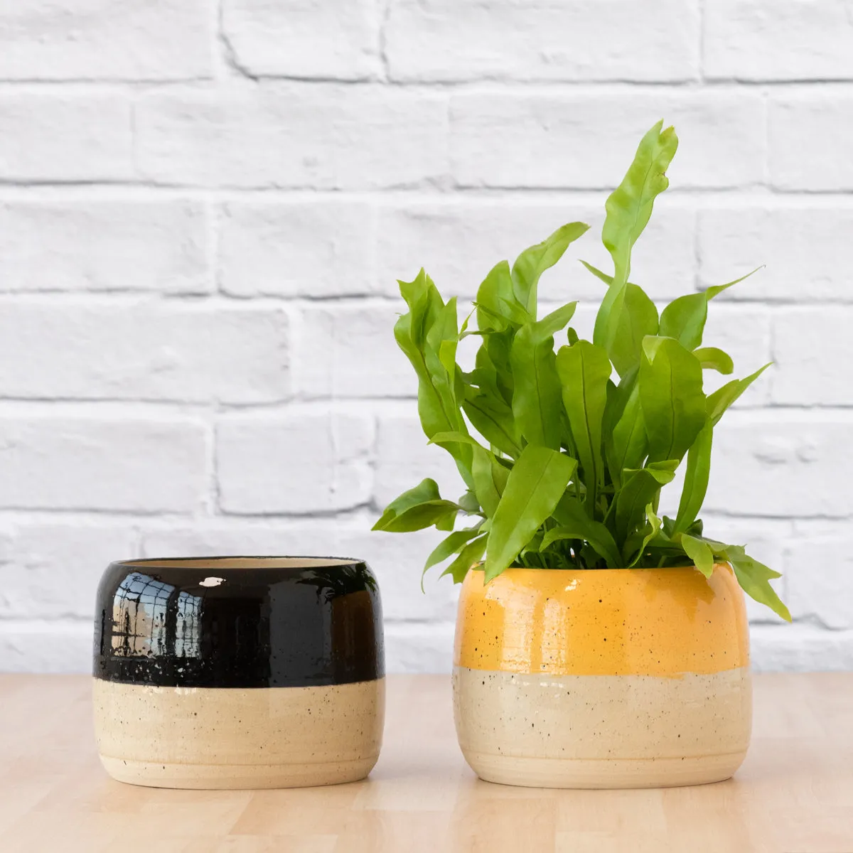Caxi Planter - Black