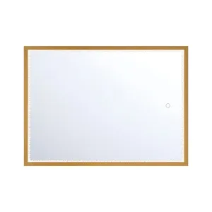 Cerissa 30 In. X 22 In. LED Wall Mirror Selectable CCT Gold Finish