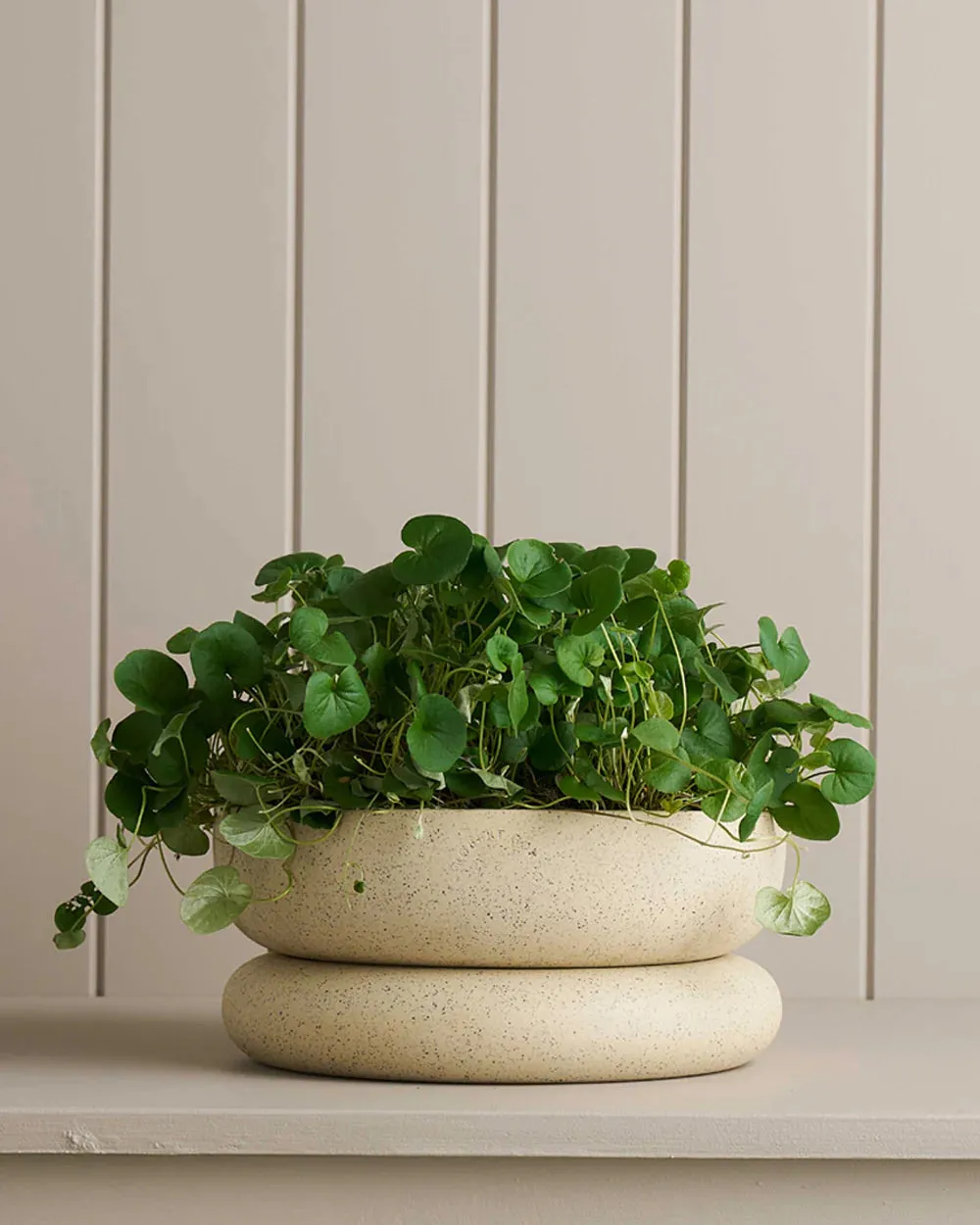 Cloud Planter 25cm