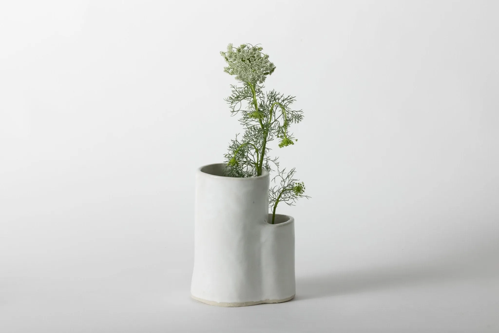 Coast Vase White