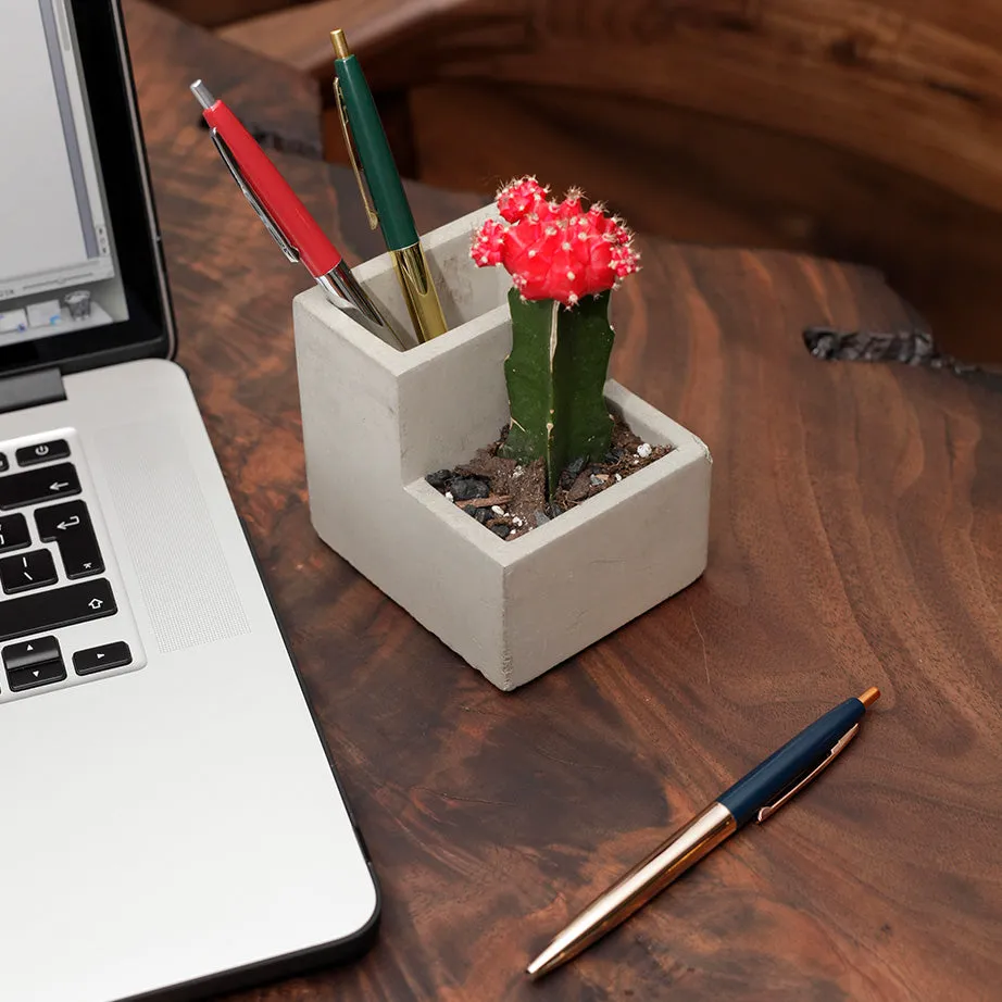 Concrete Planter & Pen Holder