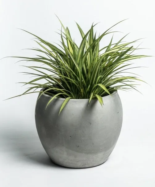 Concrete Planter - Volta
