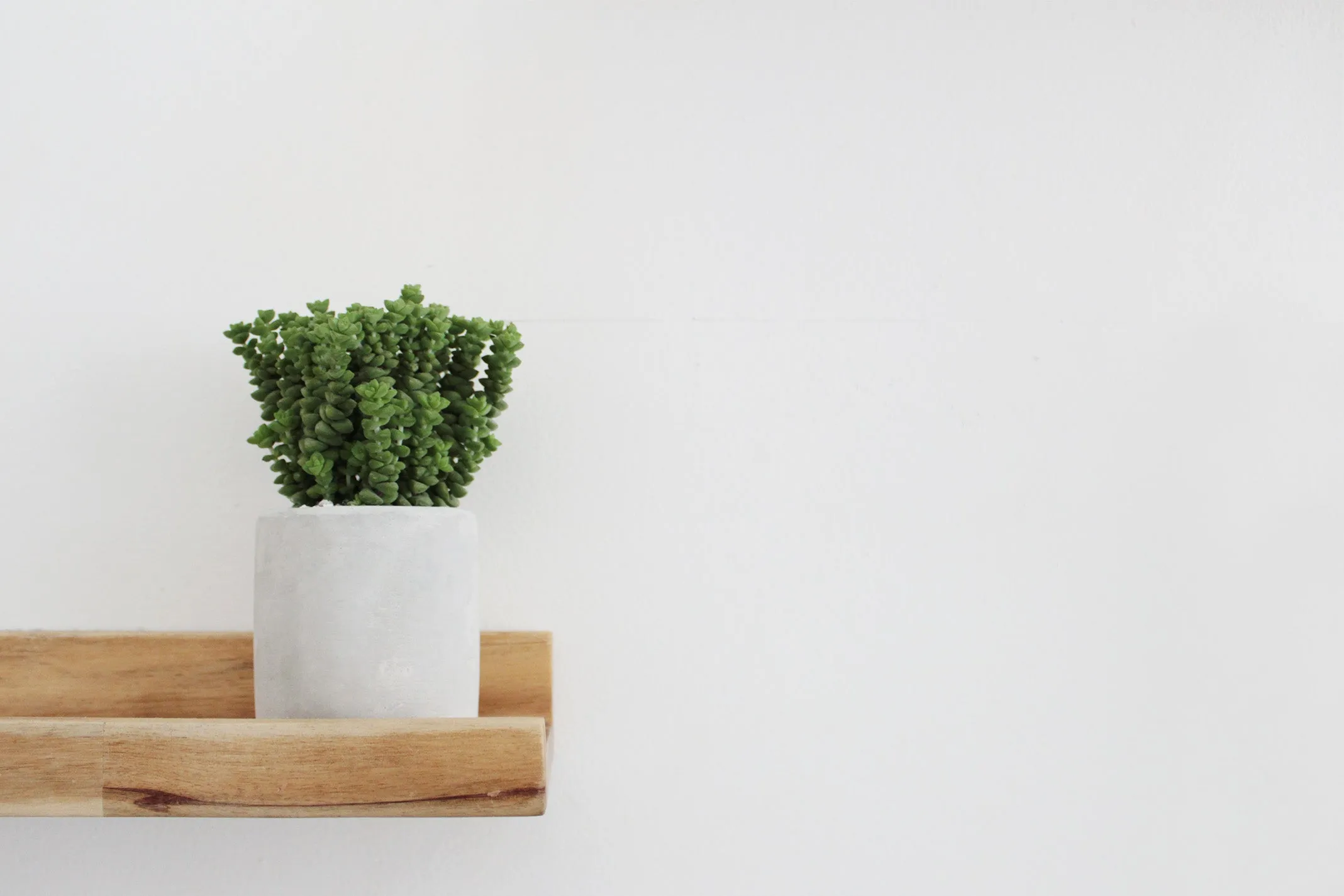 Cylinder Concrete Planter