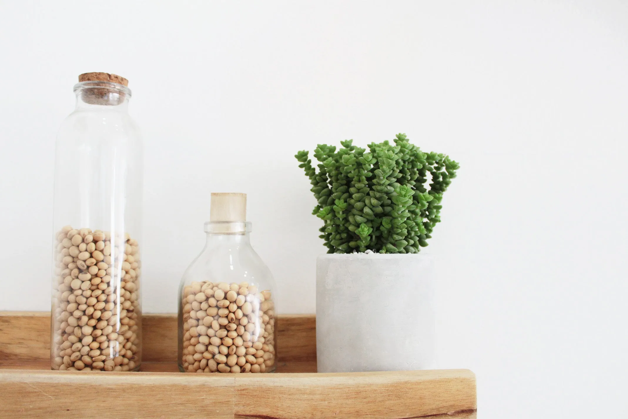 Cylinder Concrete Planter