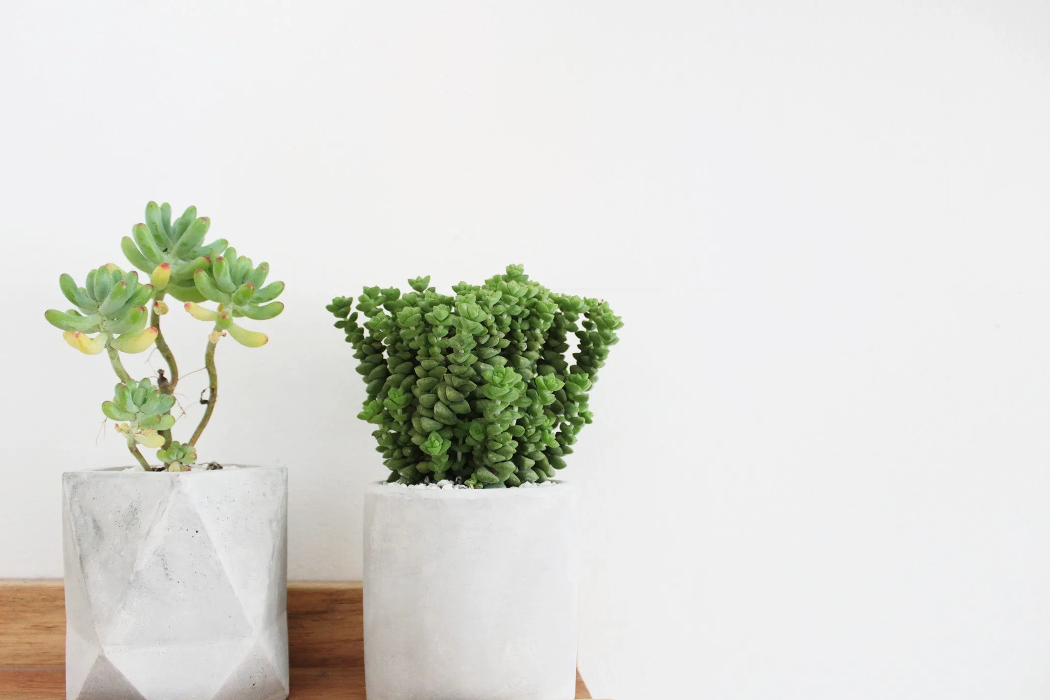 Cylinder Concrete Planter