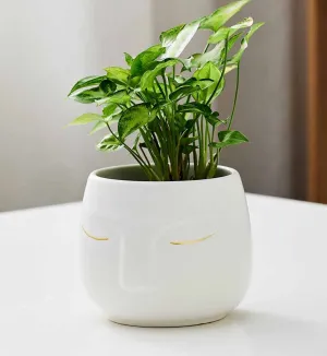 Decorative Ceramic Face Pot with Gold Accents