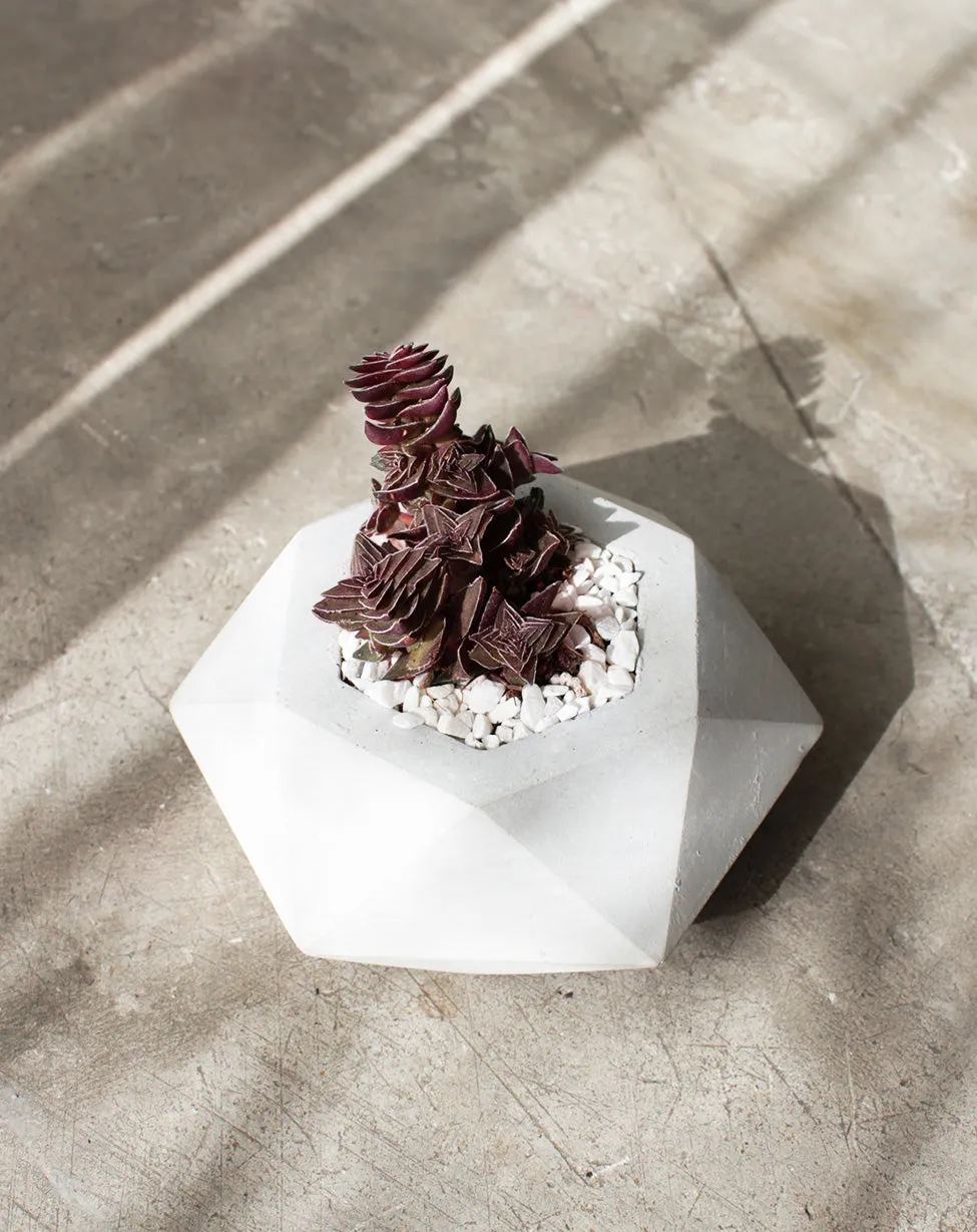 Diamond Concrete Planter