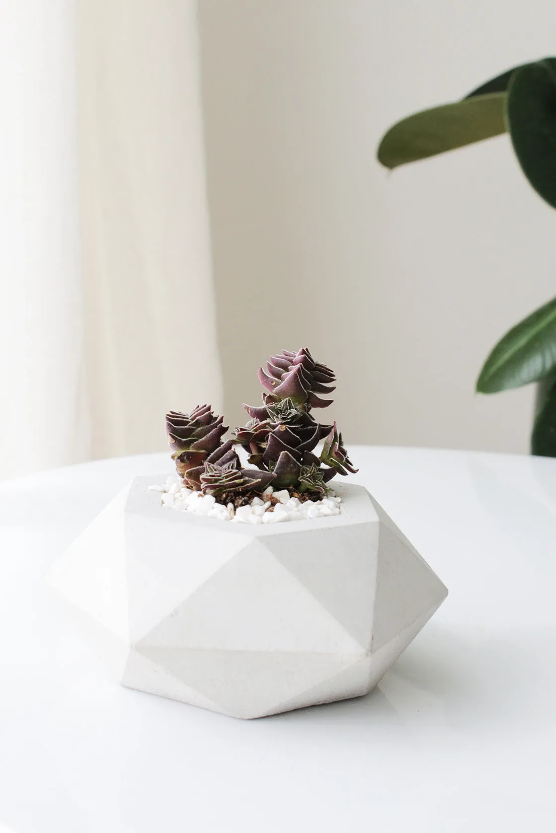 Diamond Concrete Planter