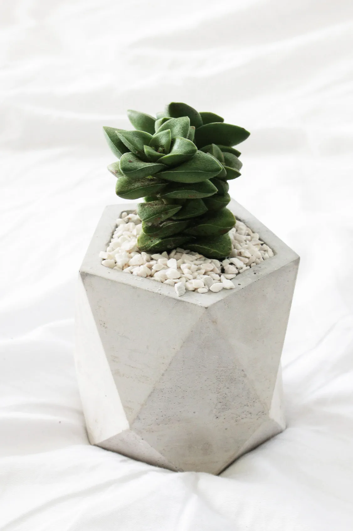 Faceted Pentagon Concrete Planter
