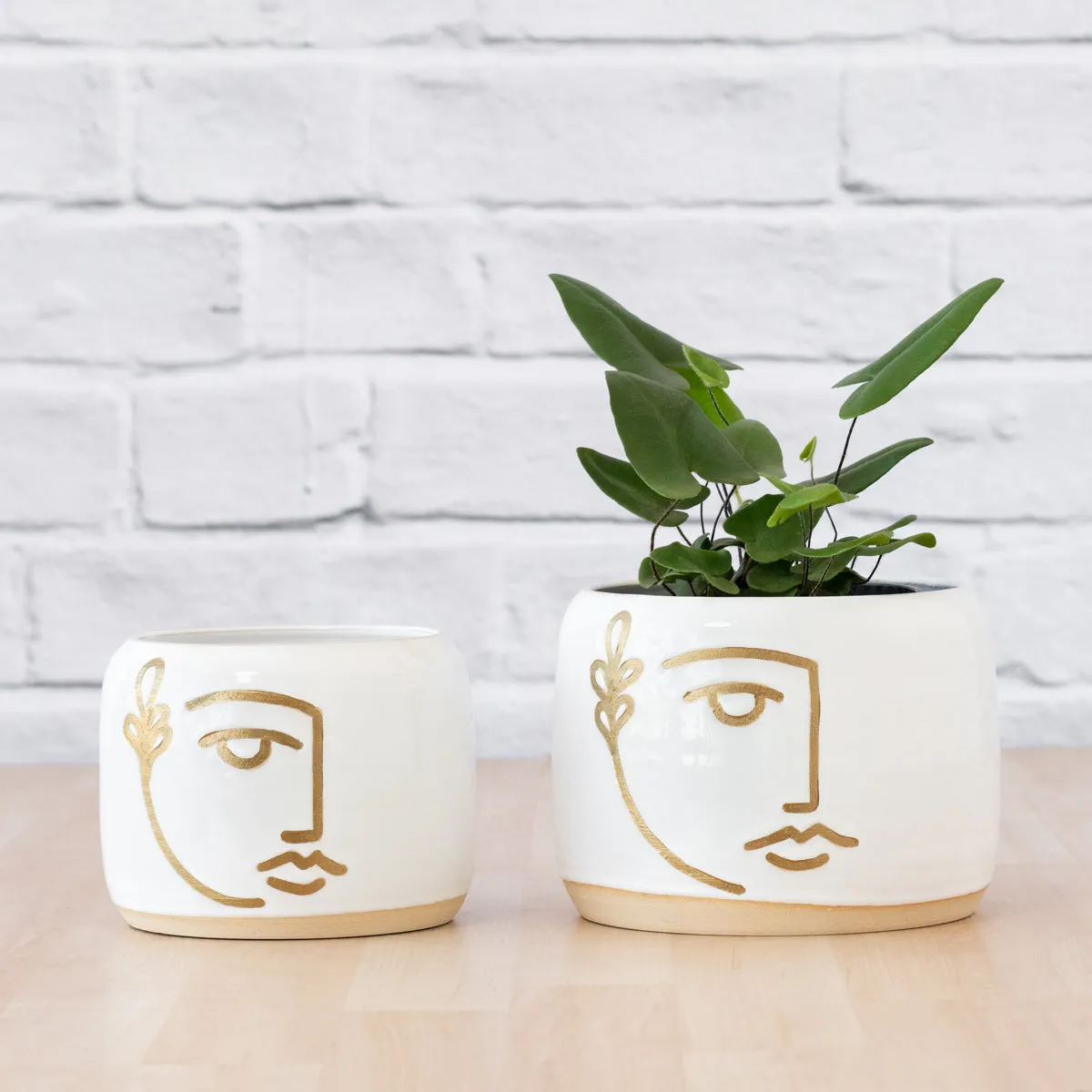 Faxi Planter - Face Pot