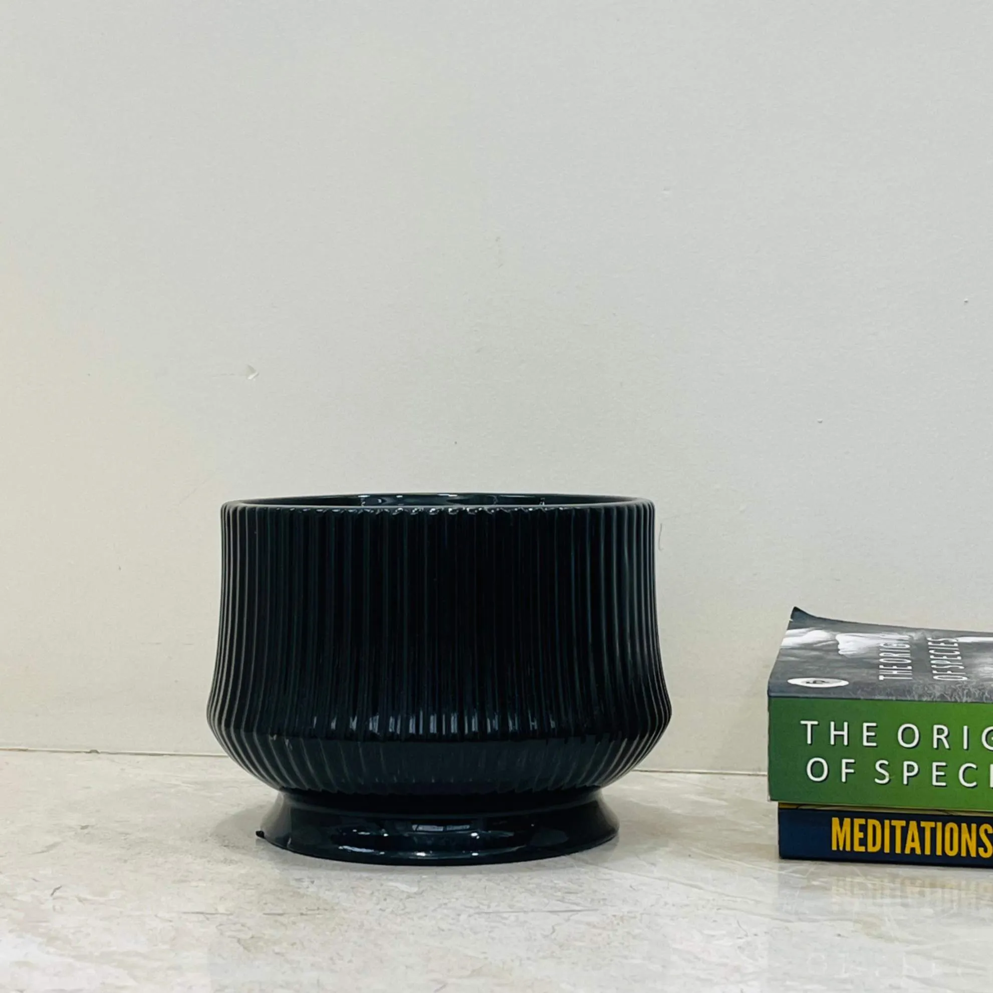 Glossy Black Ribbed Ceramic Planter – Modern Indoor Decor