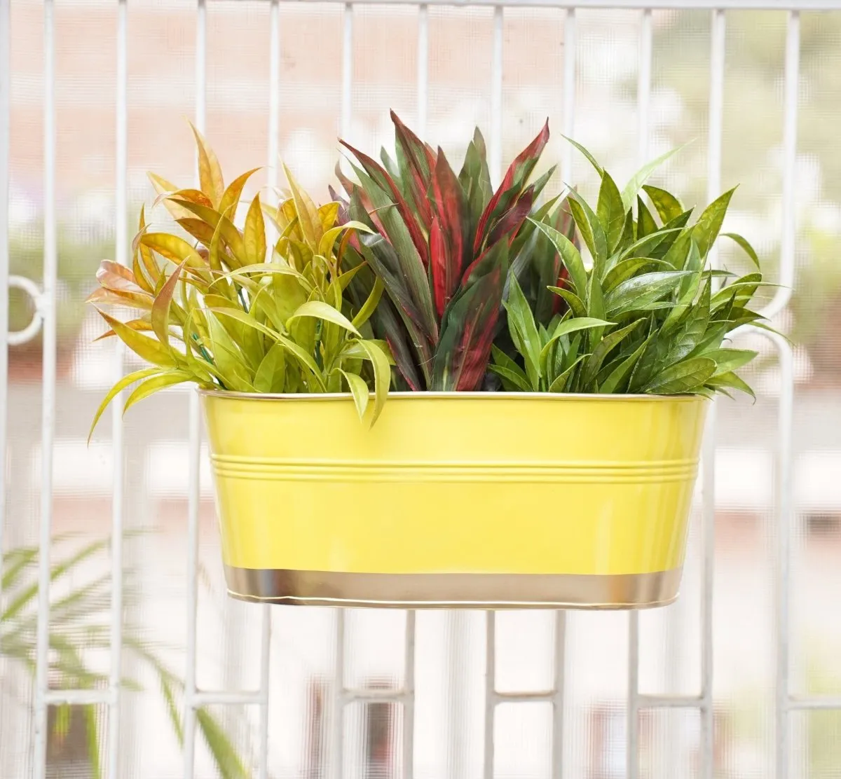 Hanging Pots For Plants Balcony Railing (Yellow - Pack6)