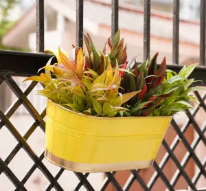 Hanging Pots For Plants Balcony Railing (Yellow - Pack6)