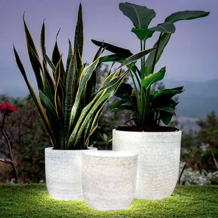 Milano Short Planter With/Without Illumination For Indoor Or Outdoor By Harshdeep - 1 Pc