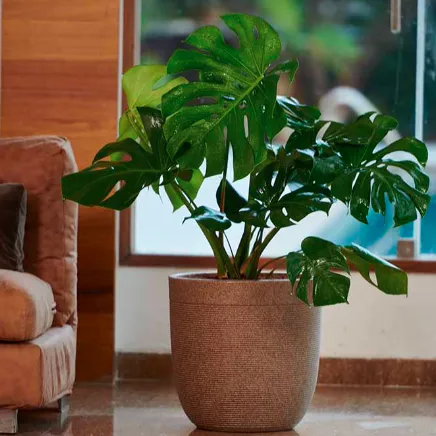 Milano Short Planter With/Without Illumination For Indoor Or Outdoor By Harshdeep - 1 Pc
