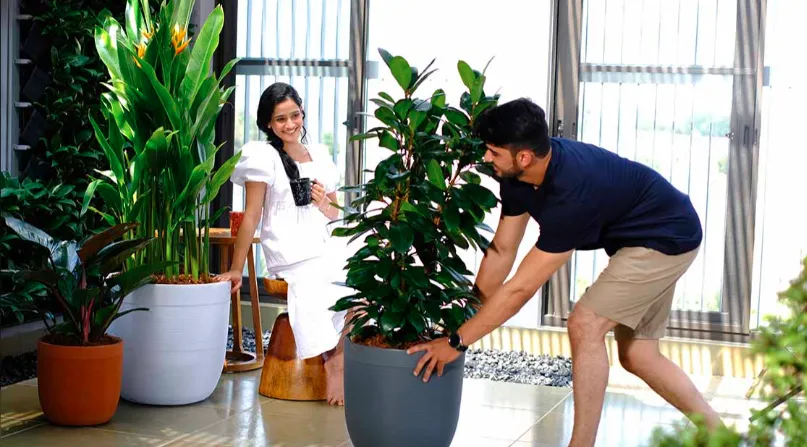 Milano Short Planter With/Without Illumination For Indoor Or Outdoor By Harshdeep - 1 Pc