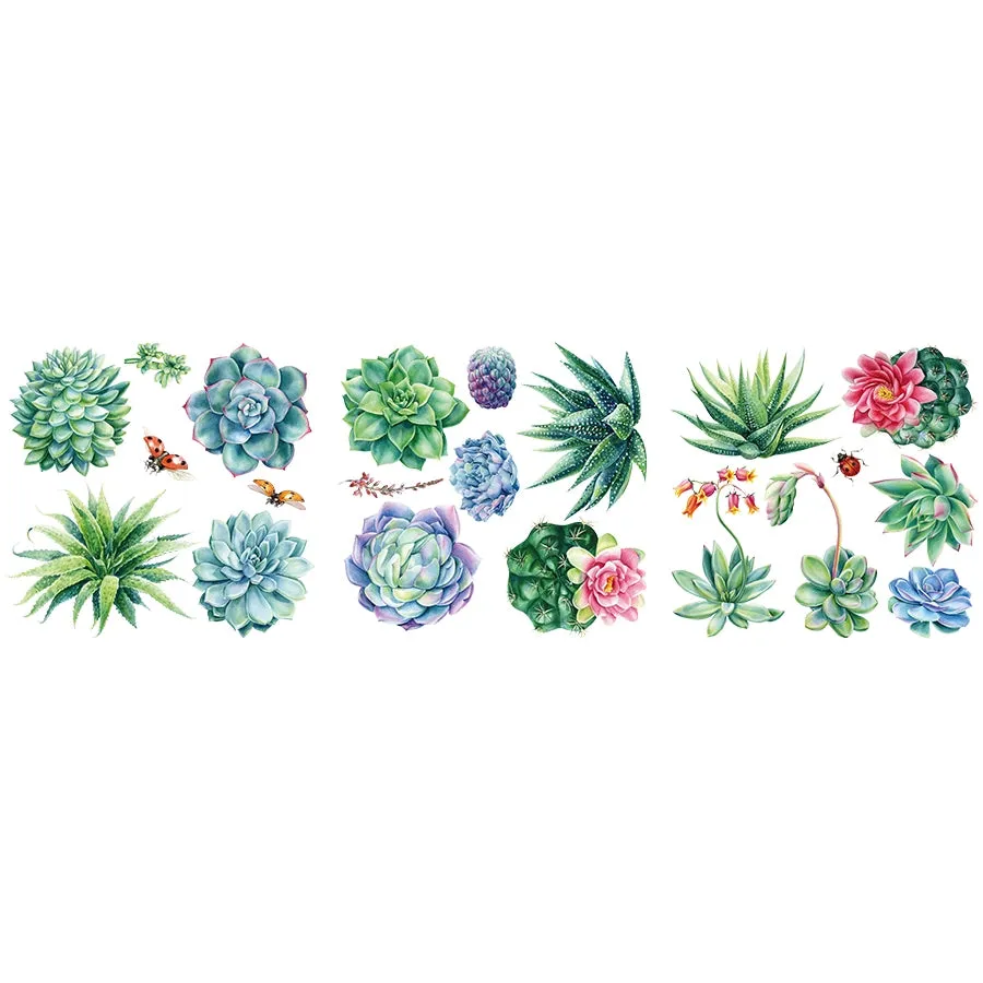 Petite Transfers