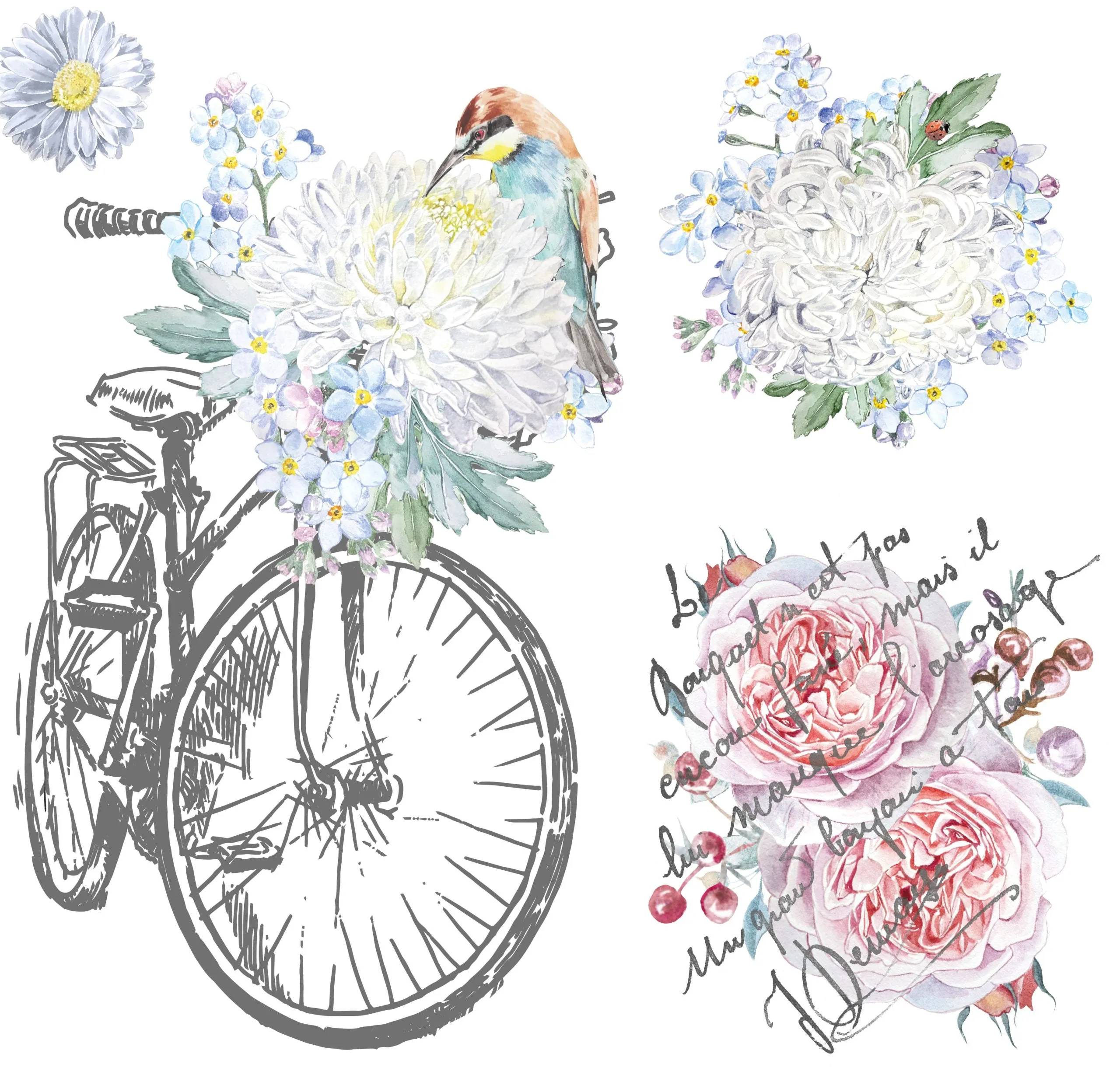 Petite Transfers