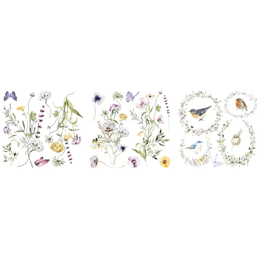 Petite Transfers