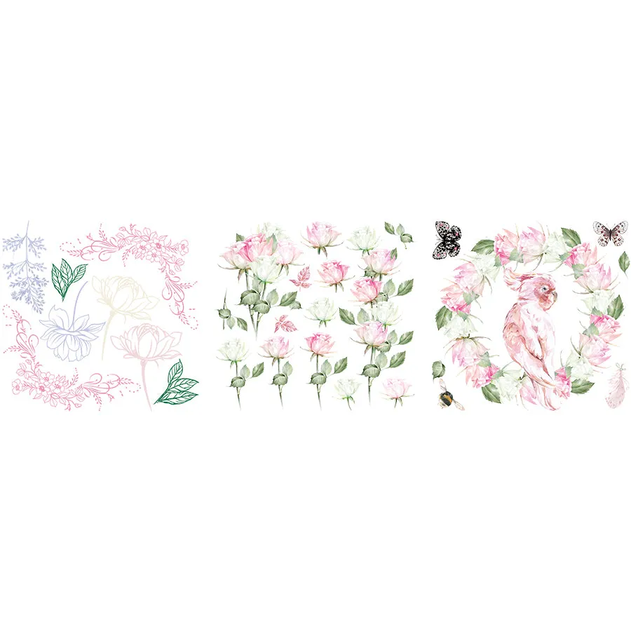 Petite Transfers