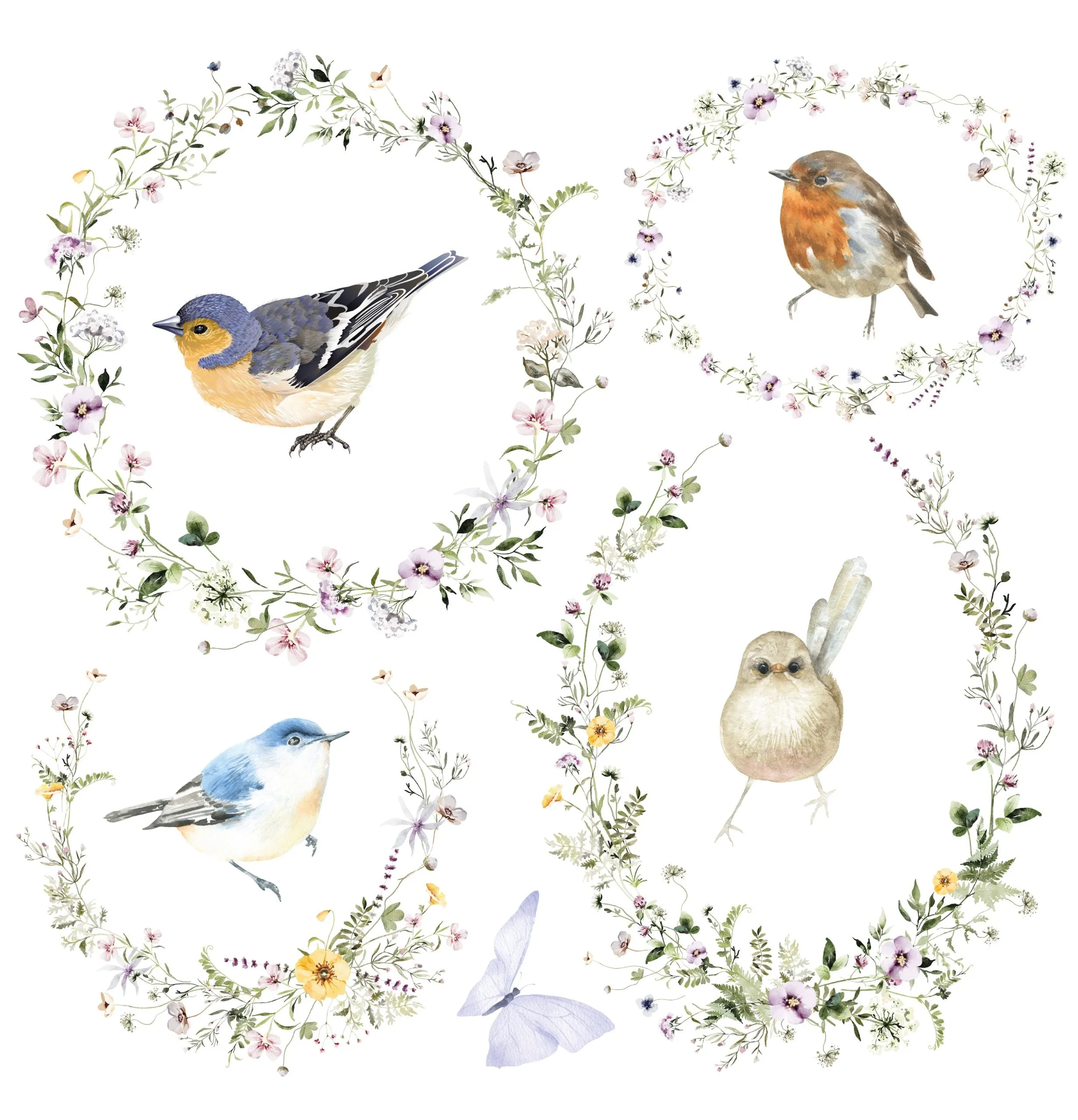 Petite Transfers