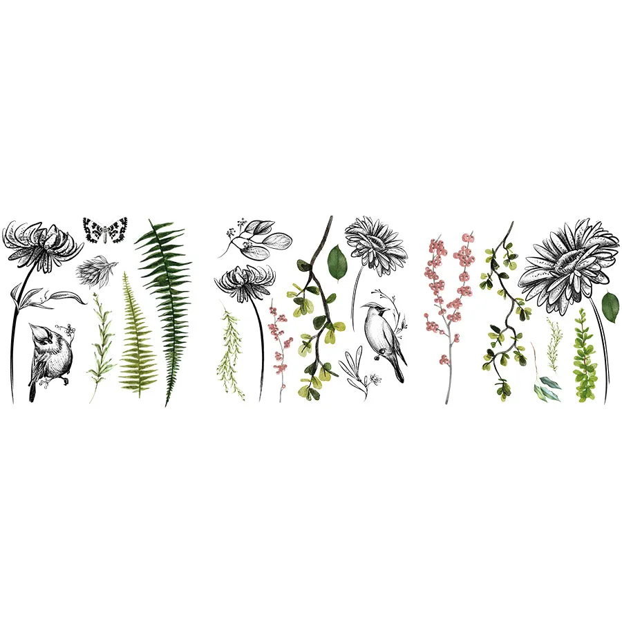 Petite Transfers