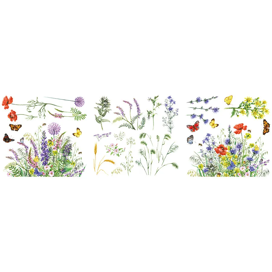 Petite Transfers