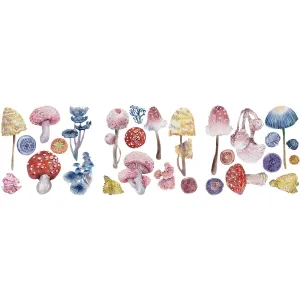 Petite Transfers
