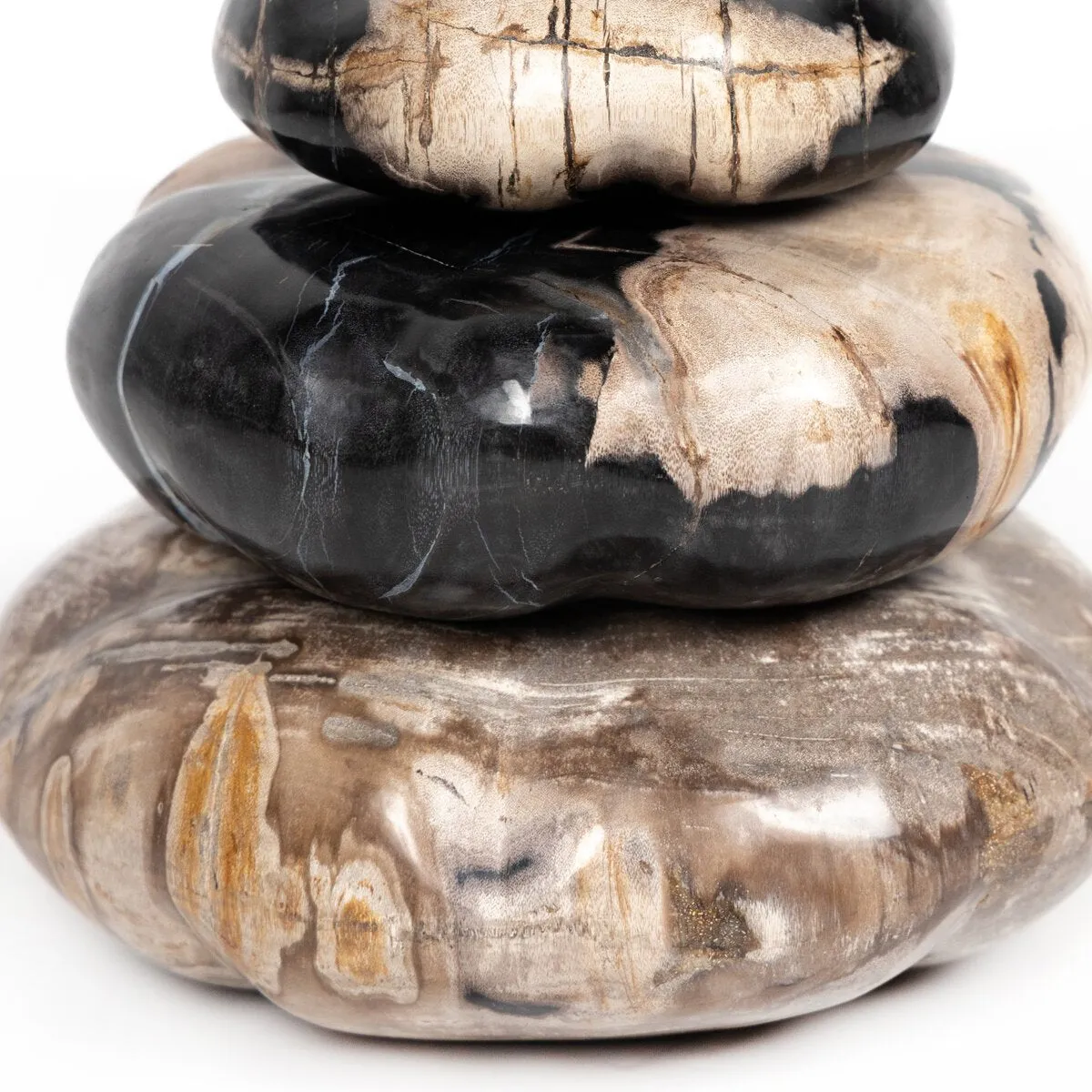Petrified Wood Organic Sculpture