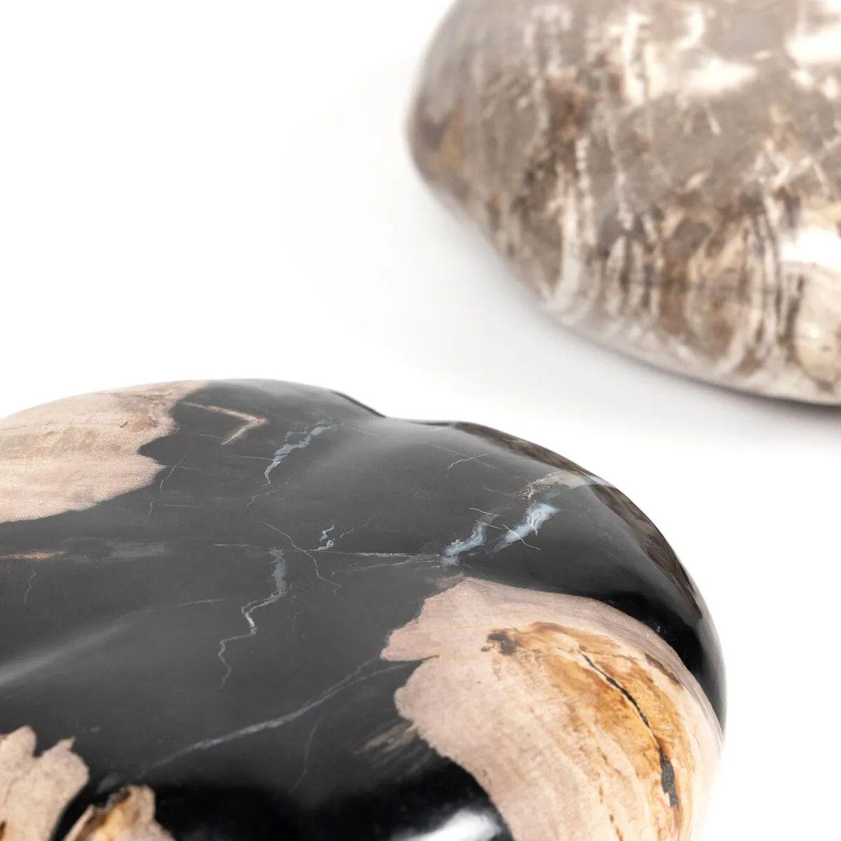 Petrified Wood Organic Sculpture