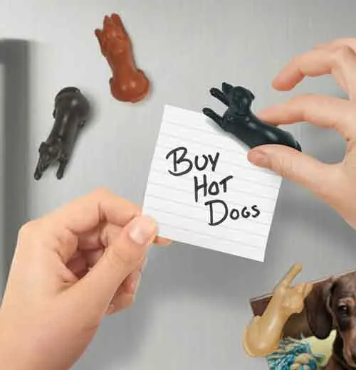 "Magnetipups" Magnets (Set of 4)