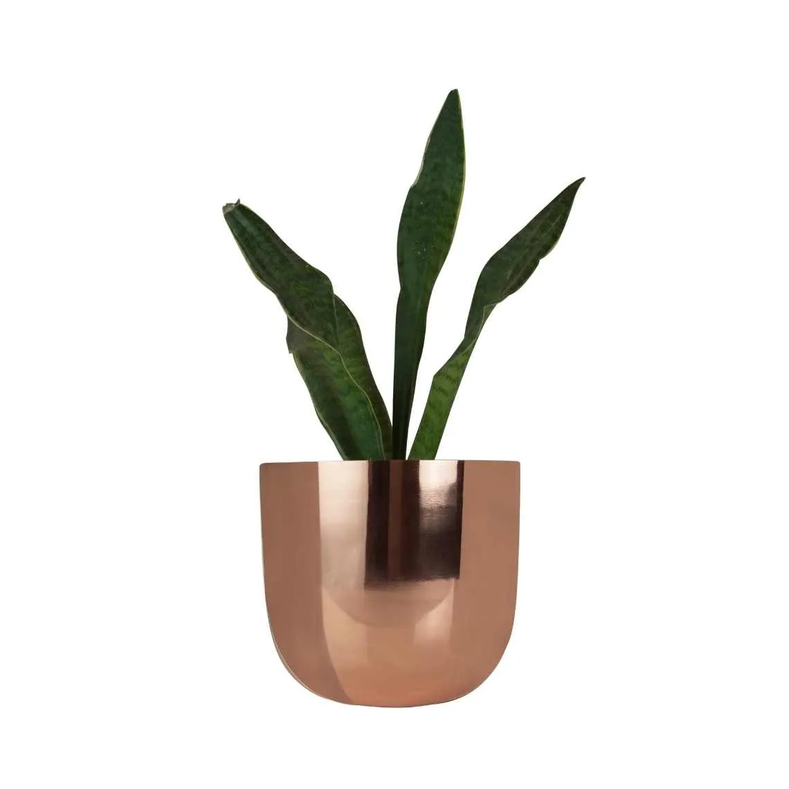 Rose Gold Metal Planter