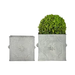 Square Lion Head Planter (set of 2)