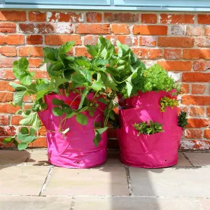 Strawberry & Herb Patio Planters - Set of 2