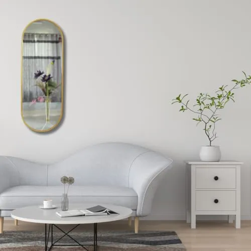 TINITALO Modern Elegance Caspsule Shape Wall-Mounted Mirror Metal Framed Wall Mirror Bathroom Mirror Living Room Mirror Home Decor Mirror 18 x 48 Inches Golden MF 118