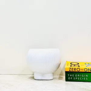 White Ribbed Ceramic Planter with Base