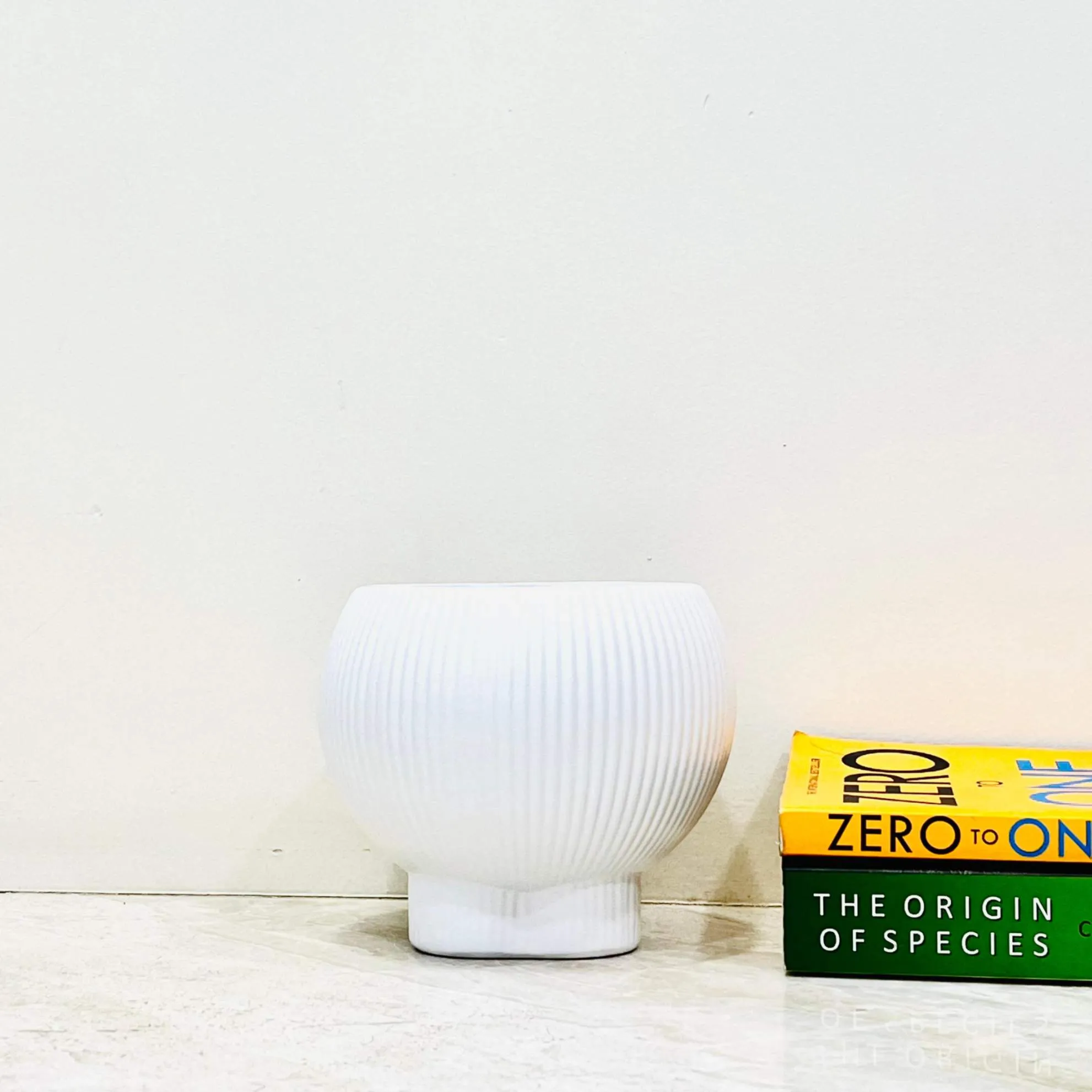 White Ribbed Ceramic Planter with Base